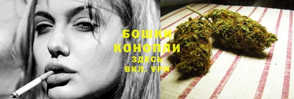 прущие крисы Зеленокумск