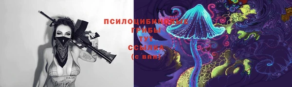 ешки Зеленодольск