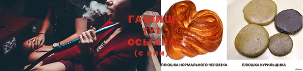 гидропоника Инта
